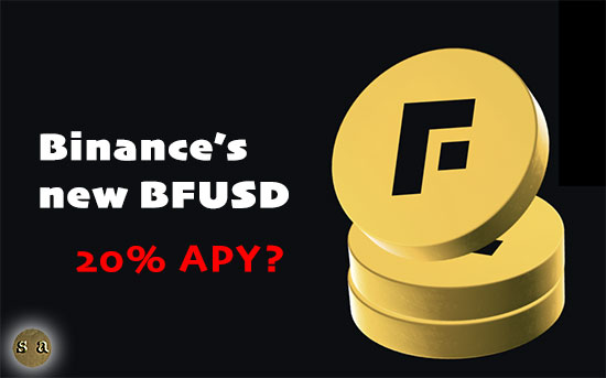 Binance's BFUSD